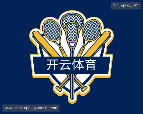 介绍开云网页版安全